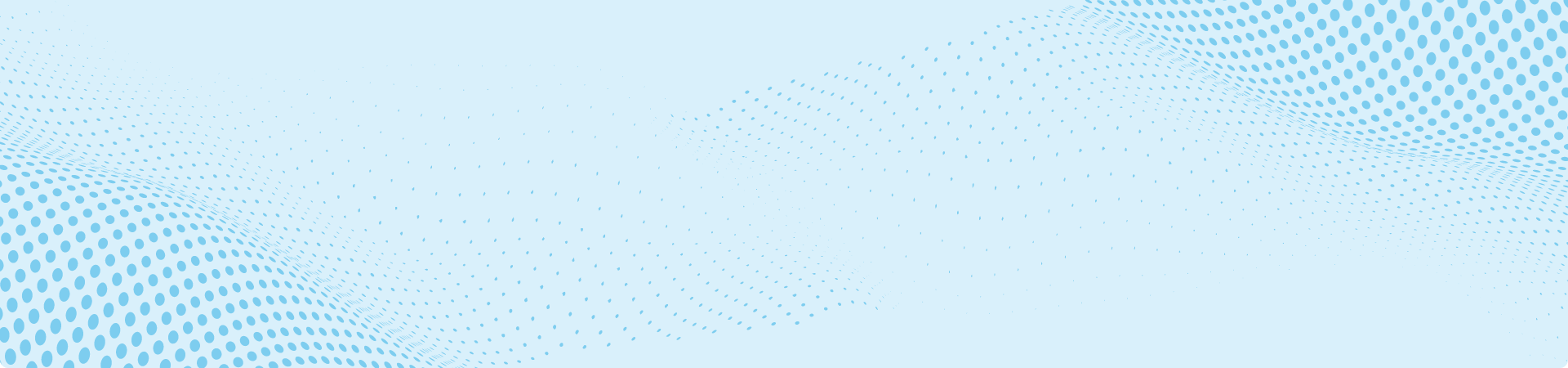 Business Intelli Solutions Company banner